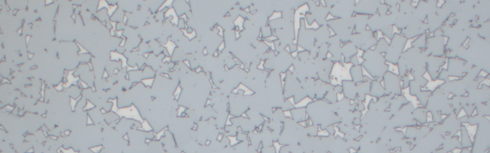 Tungsten Carbide sintered