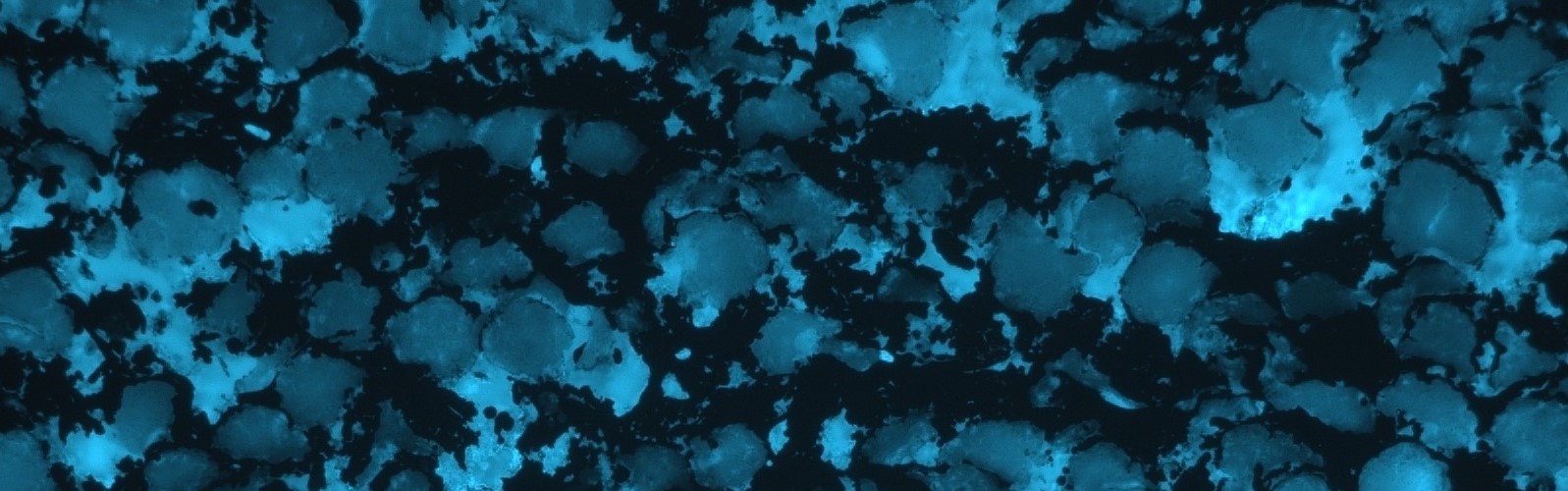 Mounting hot press epoxy resins Japanese