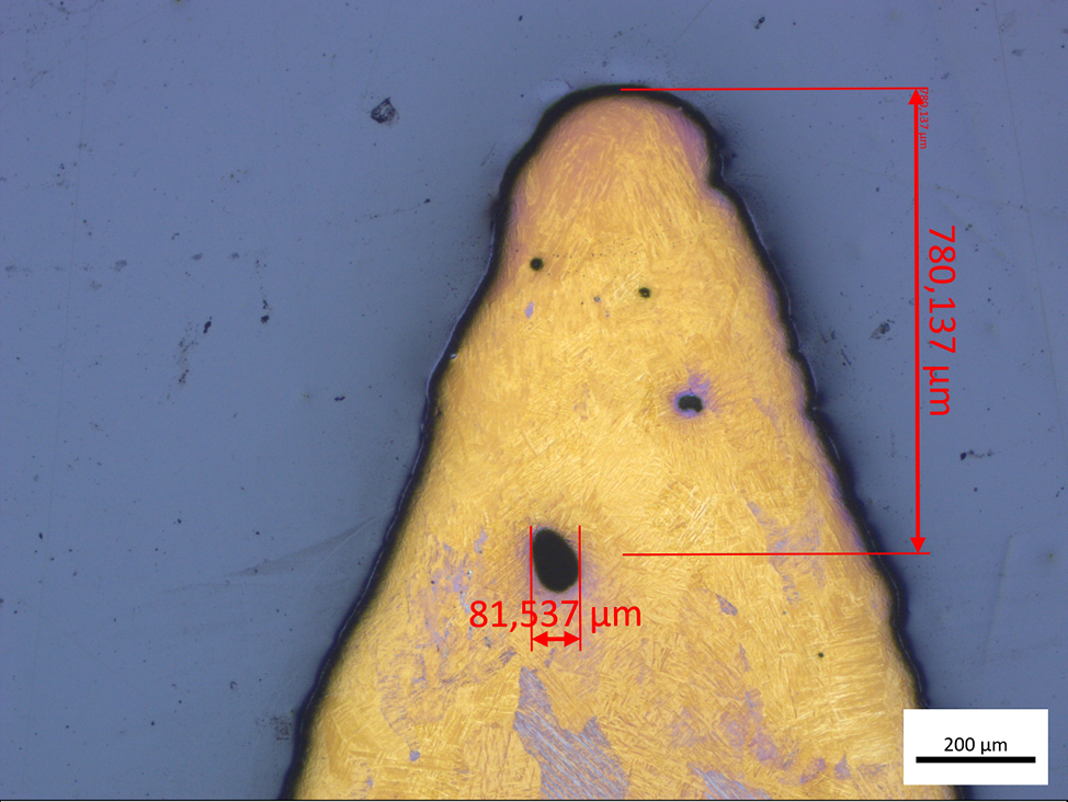 Microscopio óptico