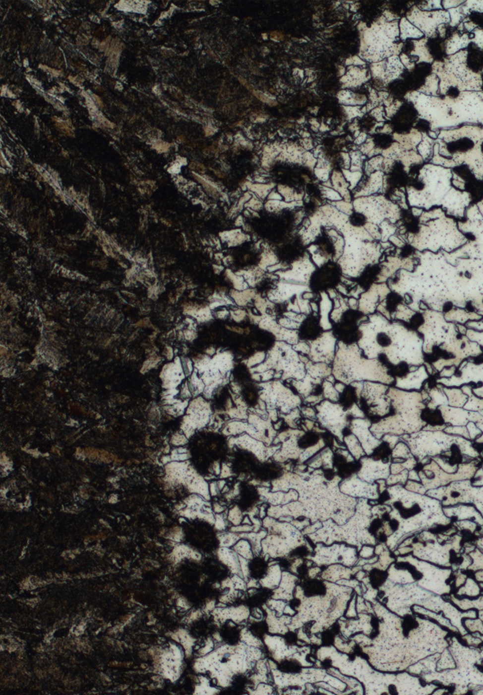 Optical microscopy