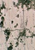 RepliSet High resolution and form stability 